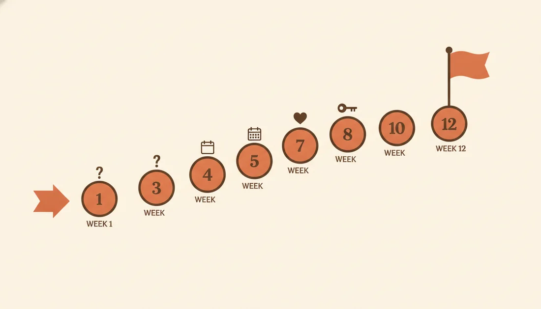 A 12-week path of numbered steps with milestones for questions, dates and check-ins ending in a flag
